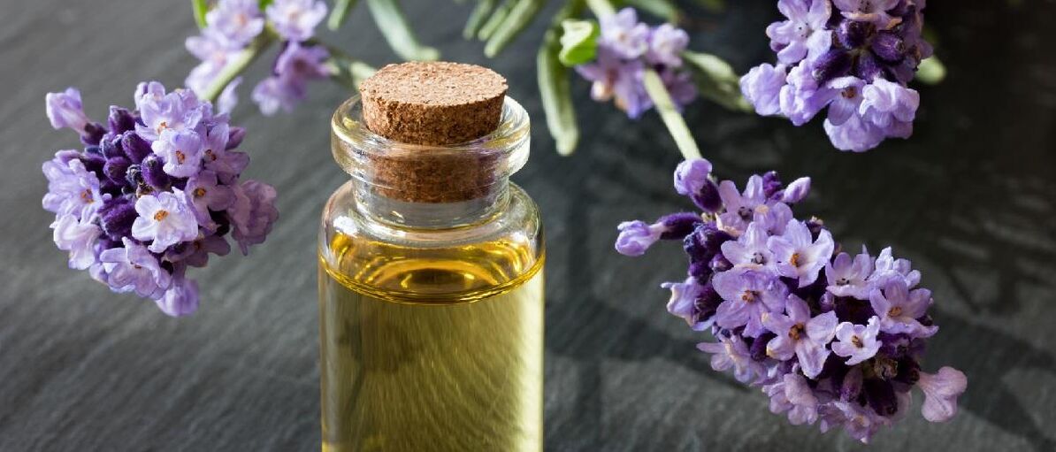 روغن اسطوخودوس به چهره زیبایی می بخشد